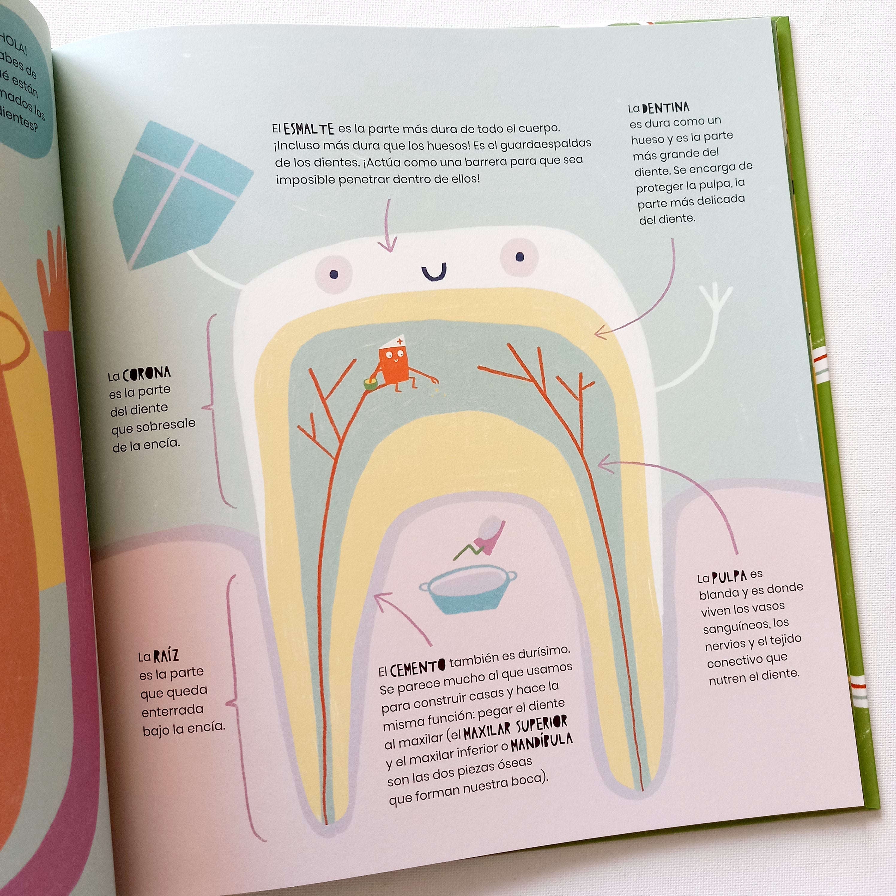La vida secreta de los dientes La vida secreta de los dientes